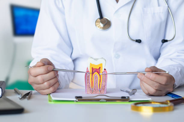 Best Emergency Dental Care for Trauma or Injury in Rainbow Park, FL